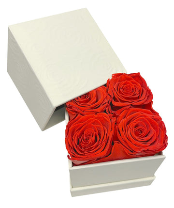 Embossed Square Box - 4 Red Preserved Roses